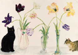 poboh:Black Cat, Abyssinian Cat and Tulips, Elizabeth Blackadder. English, born in 1931- Pencil and Watercolor -
