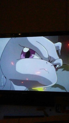amalgarn:  We’re trying to watch the pokemon movie and its buffering like hell but we got to see this majesty
