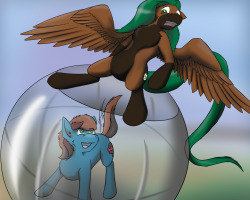 askcaffeinehazard:askspades:Who said oversized plastic balls were restricted to rodent-only transportation? High visibility, suitable for most terrain and room for two! Won’t you come for a spin~? I even remembered to put airholes in the lid this time!