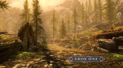 dancing-heart-the-pony: Skyrim Remastered for next gen consoles