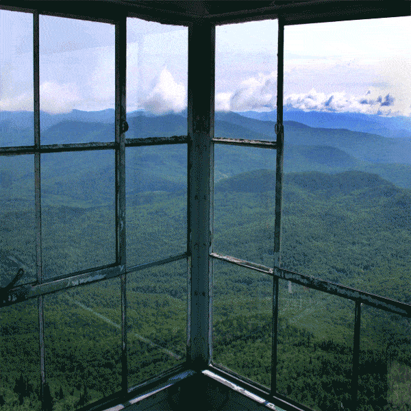 Is The World As Green As It Looks?