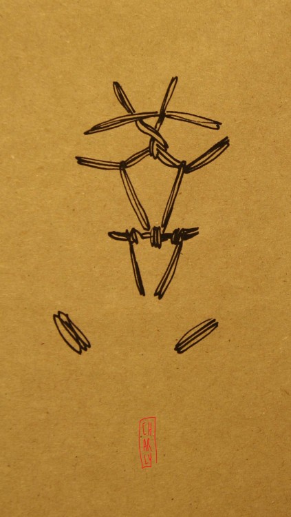 wip-selfdevelopment:  bdsmgeek:  stick-it-on-your-fridge:  Making some research on shibari for a linocut and a drawing-game-for-adult.  This is intriguing.  Oh, I enjoy this idea very much.