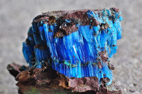 hematitehearts: ChalcanthiteLocality: Planet Mine, La Paz County, Arizona, United States of America