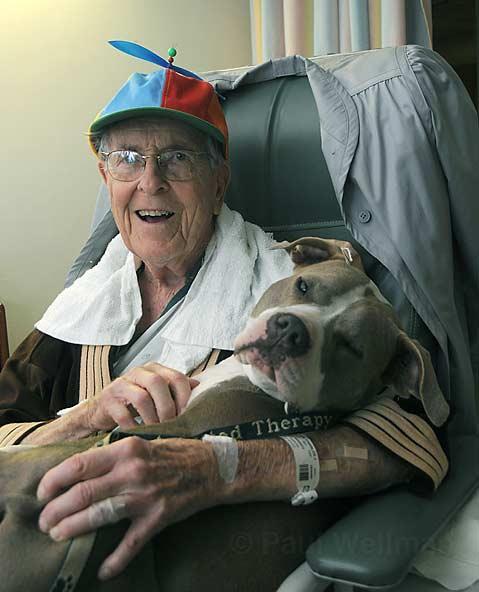 dogblessusa:  Meet Daisy Mae, a former dogfighting dog who now cuddles with the elderly