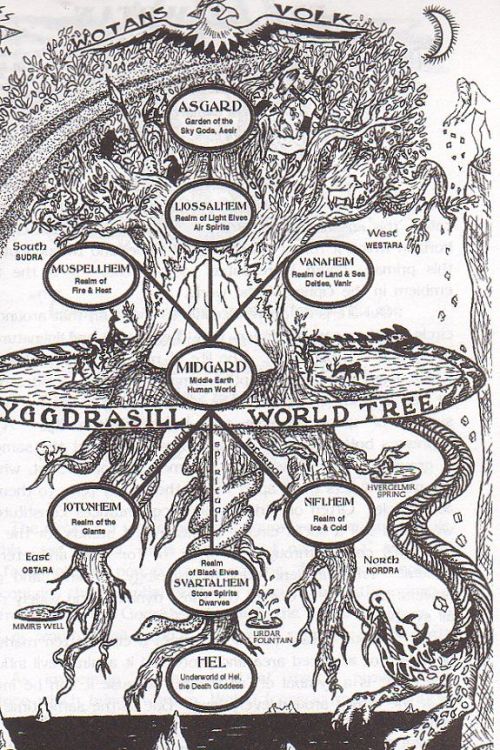 transcending-flesh:  Yggdrasil, tree of the Norse, with the nine realms and the creatures of the Wor