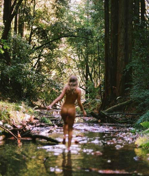 mooonkid:Into the forest I go to free my mind and find my soul
