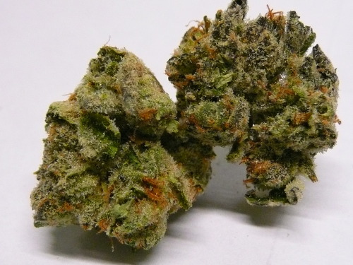 Previously Videogamesandmaryjane