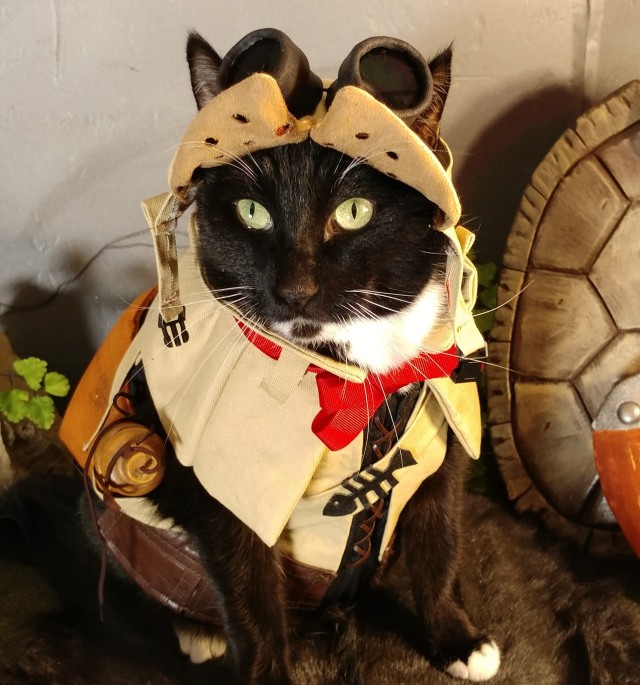 Everyone should have a Palico.