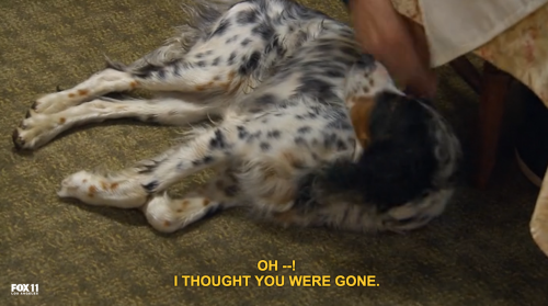becketts:  that one time on Hotel Hell when Gordon Ramsay fed the owner’s dog some shitty bread and then was afraid he killed her 