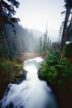 ponderation:  Before The Fall(s) by Danielle Nelson