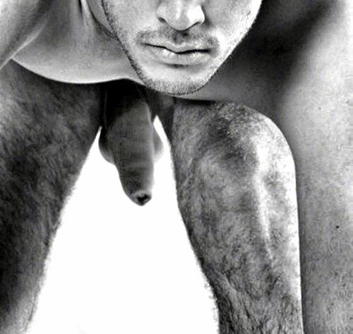 mydaddyishairy:  My Daddy is Hairy - over 26,000 followers: Archive 