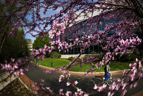 A selection of my top images shot for the Marketing and Communications office at Northeastern Univer