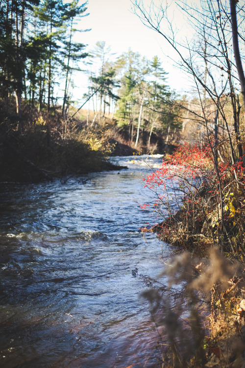 gettingahealthybody:  Autumn; favorite season ever.