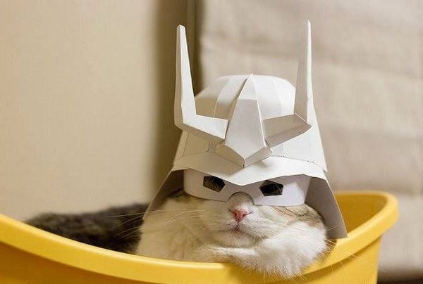 cute-overload:  Awesome Helmethttp://cute-overload.tumblr.com 