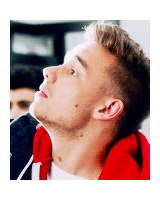 zedmaliks-deactivated20170406:  happy 20th birthday liam! 