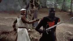 leopardheart27:  Let us strive to be as determined as the black knight in all our
