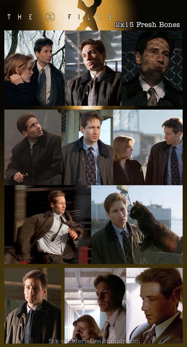 Fox Mulder S Tie Appreciation I Have To Thank The X Files Wiki For Assistance