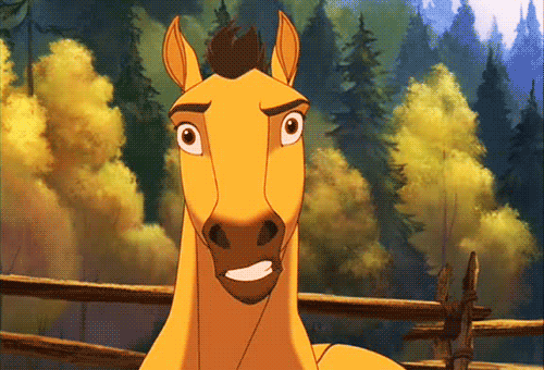 itsraviolibitch:  itsraviolibitch:  Why are all cartoon horses so sassy    