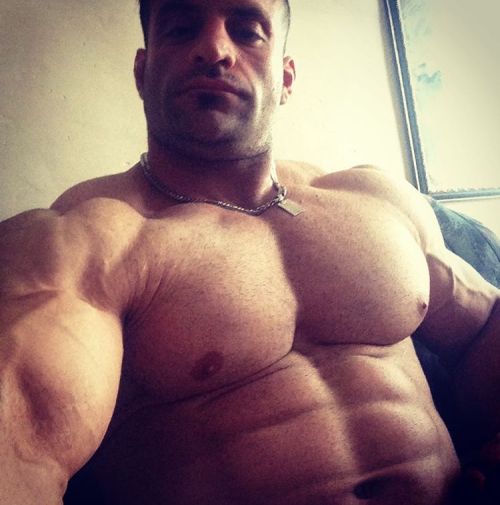 bigmalepecs:  Meysam Keshvari