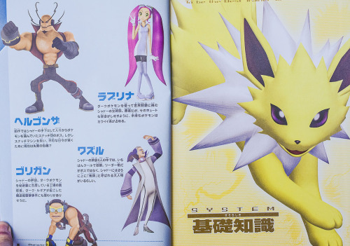 tepigs-trotters: Pokémon XD: Gale of Darkness Japanese strategy guide