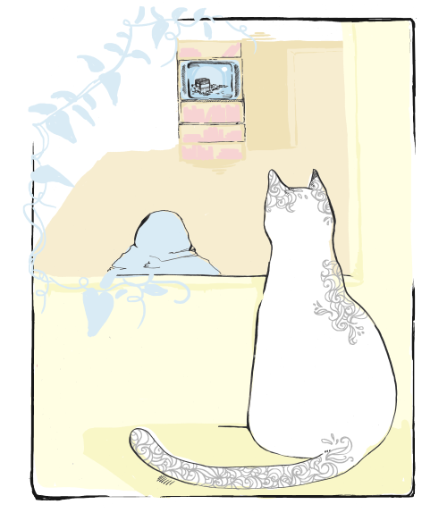 talaabusamraart: | ilhaqooni |the journey of a cat in amman 