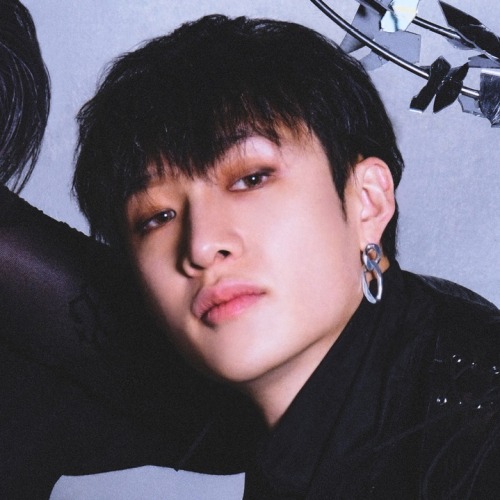Stray Kids Matching Icons/metadinhas.