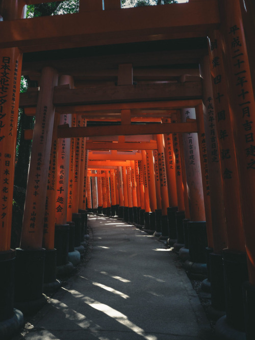 nicrwilson:Fushimi-Inari Taisha || Nic Wilson