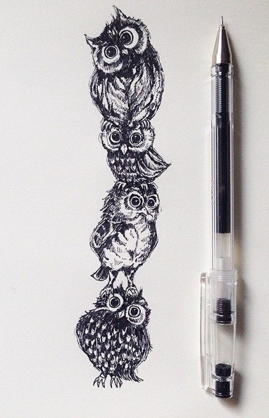 owlsstuff:  More irresistible owls here: http://ift.tt/JQ5da3 Photo source (http://ift.tt/1IkoKdK)