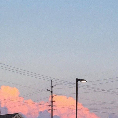 softwaring:www.instagram.com/p/6OjuvzF9kE