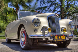 motoriginal:  1954 Sunbeam Alpine (by dmentd)