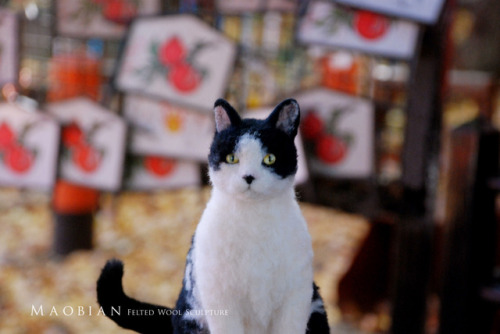 Last December I took my needle felted cat to travel to Tokyo.(part. 1)