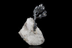 ifuckingloveminerals:  Acanthite, CalciteBote Mine, Zacatecas,