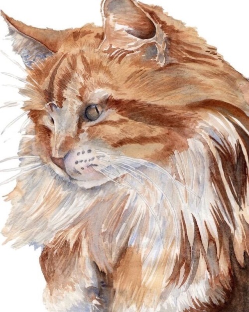 Happy Caturday Watercolor Cat Portraits by Kate Boyington www.etsy.com/shop/KateBoyingtonArt