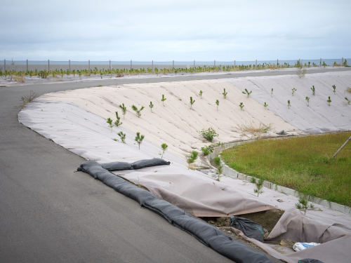 Shelterbelt, Shinchi, Fukushima, 2020 防砂林, 新地, 福島, 2020http://nanjotoshiyuki.com/shelterbelt http://