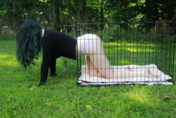 submissivefeminist: It’s important to let your pets get some fresh air every now and then. Salem certainly enjoyed a little stretch in the sunlight. (starring @salemtheblackcat, do not remove her credit or you will be condemned to a lifetime of darkness)