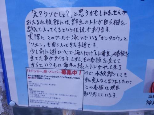 hikol:  Twitter / hanabi0224: おたる水族館のトドについて http://t.co/SkB3 …