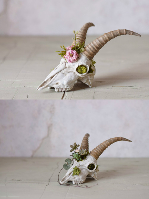 floralwaterwitch - sosuperawesome - Handmade Realistic Skull...