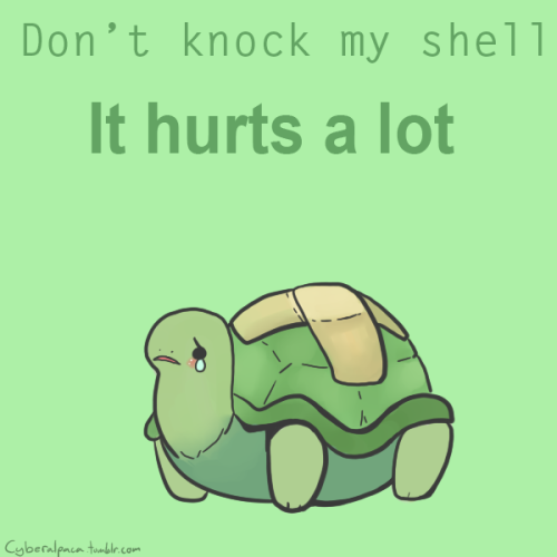 youremeganmesmile:ru-debega:theserif:tort-time:littlefootdoesstuff:cyberalpaca:Pet your turtles, the