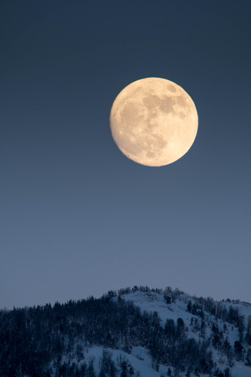 staudnhuckn: Happy New Year - almost full moon rising over Yellowstone National Park Montana, USA