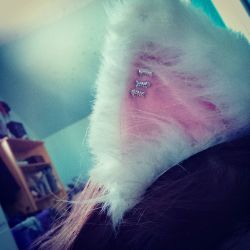 kittensplaypenshop:  deadfishpratudo:  I put little fish skeleton earrings in my KPP ears. #catears #kittengear #catgear #kittenplay #earrings #deadfish by katryn_anaka http://ift.tt/1MnSrYv   aww so cute!!!!!