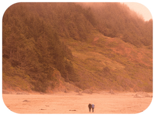 Pacific Coast “All-American” Highway Oregon - circa 1972- by Ryan Jackman