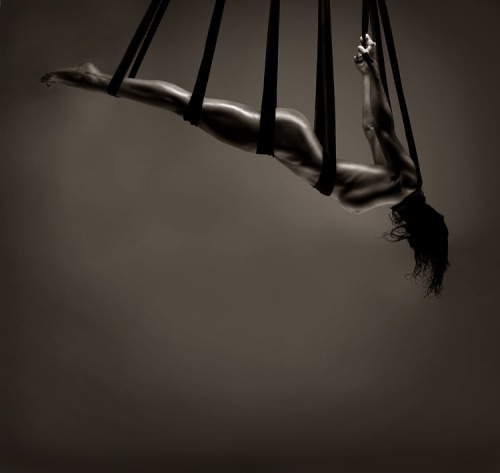 palavre:  Icarus 