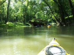 unexplained-events:  Kayakers discover this 110 year old abandoned ship. It is full of plant life but is still sound enough to explore. It seemed like it had been sitting there for years. Little did they know about the amazing history of this ship….