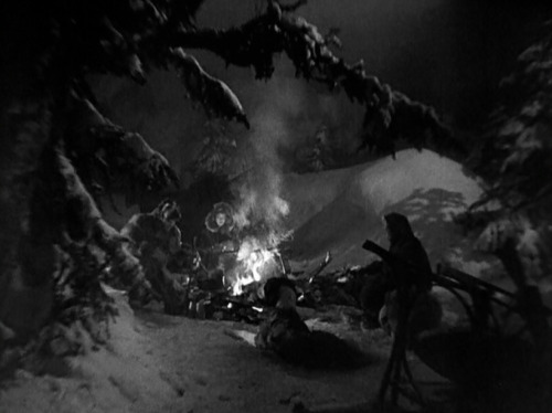 The Call of the Wild・ ・ ・Director: William WellmanDirector of Photography: Charles Rosher