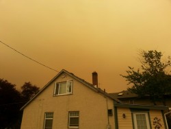 nicolechantellexo: Right now, in the province of British Columbia, Canada, there are 170 burning wildfires. This is the result. A smoke filled sky with an eery orange glow. You can barely see the sun. Please be cautious in this dry weather!   Ps, this