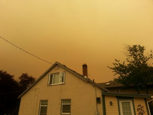 nicolechantellexo:Right now, in the province of British Columbia, Canada, there are 170 burning wildfires. This is the result. A smoke filled sky with an eery orange glow. You can barely see the sky. Please be cautious in this dry weather!   Ps, this