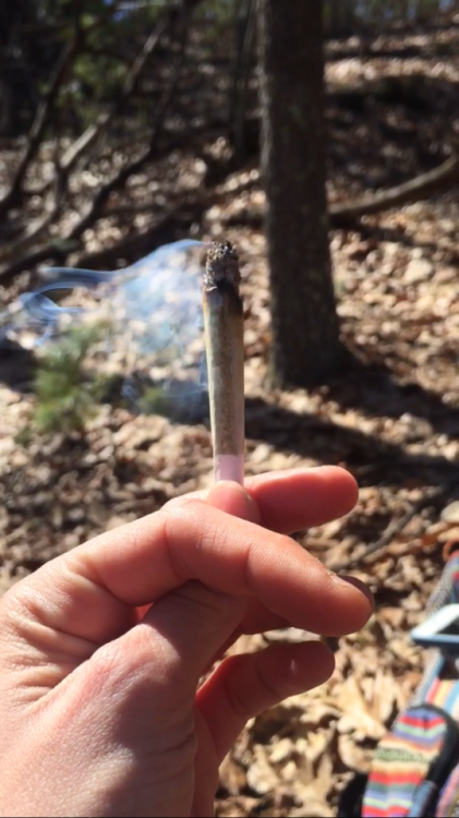 psychedelic-freak-out: Joints in the woods are the best