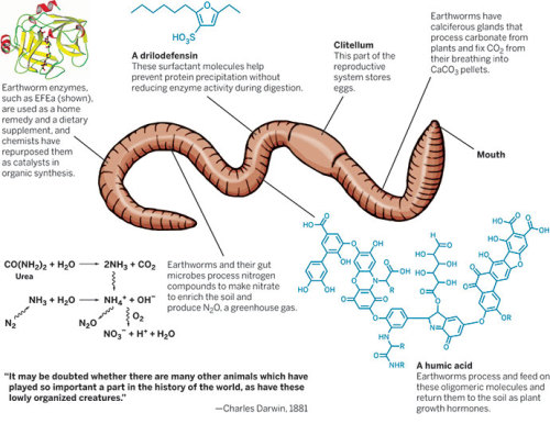 &ldquo;&hellip;Of course, scientists have since learned something about Earth’s epidermis. They have