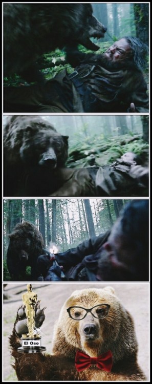 jaidefinichongg:  Oso culiao weno