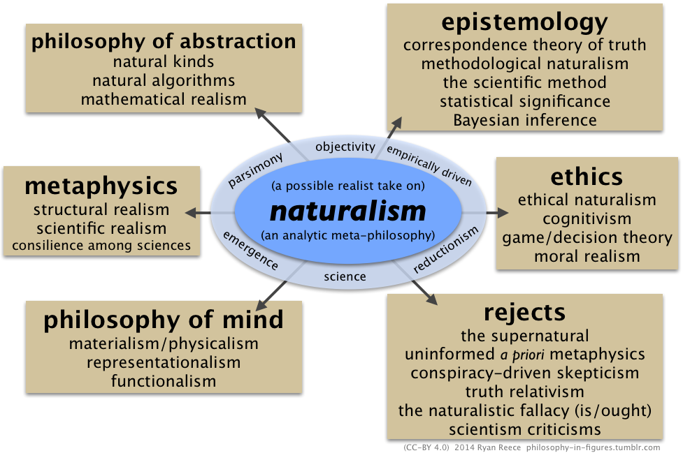 a realist take on naturalism